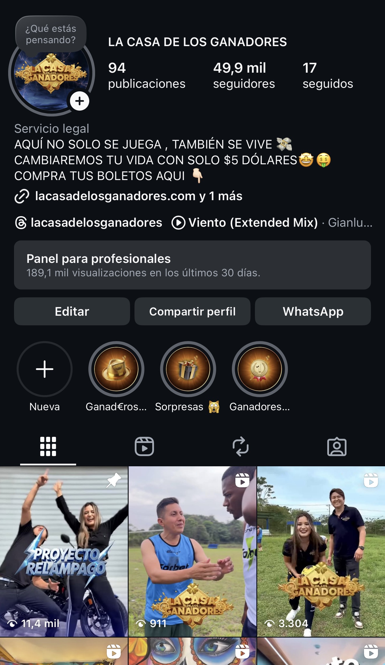 Vista del perfil de Instagram simulada